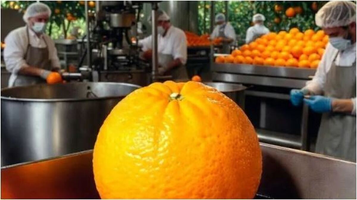 اخبار پرتقال‌های رنگ شده در بازار حقیقت داشت؟
