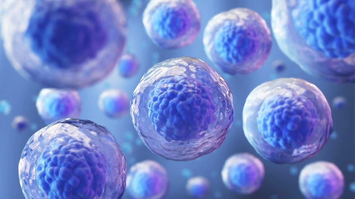 سلول‌های بنیادی پرتوان با ایمنی زایی کاهش یافته نقطه عطف پزشکی میشوند!