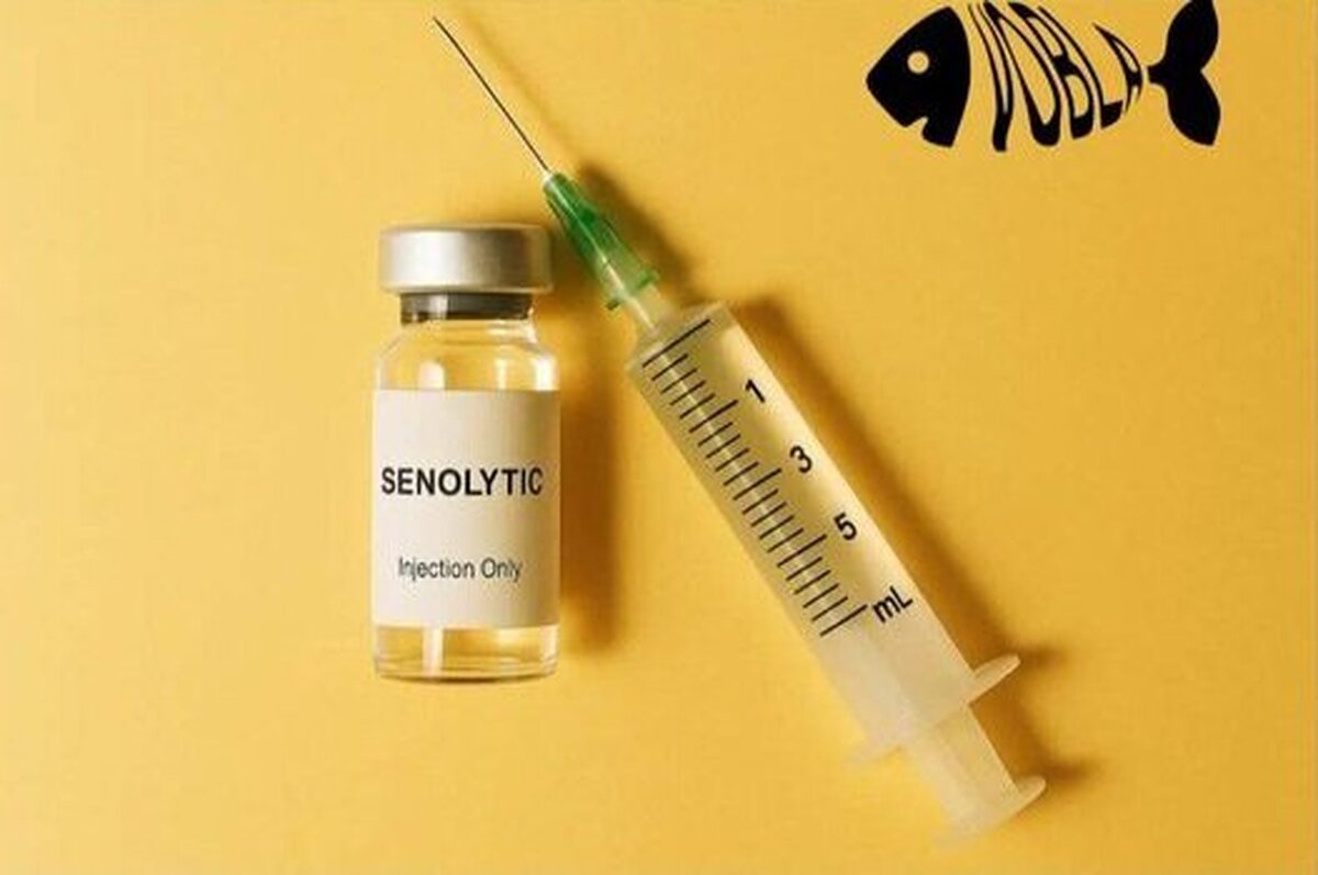 درمانی برای متوقف کردن پیری کشف شد!