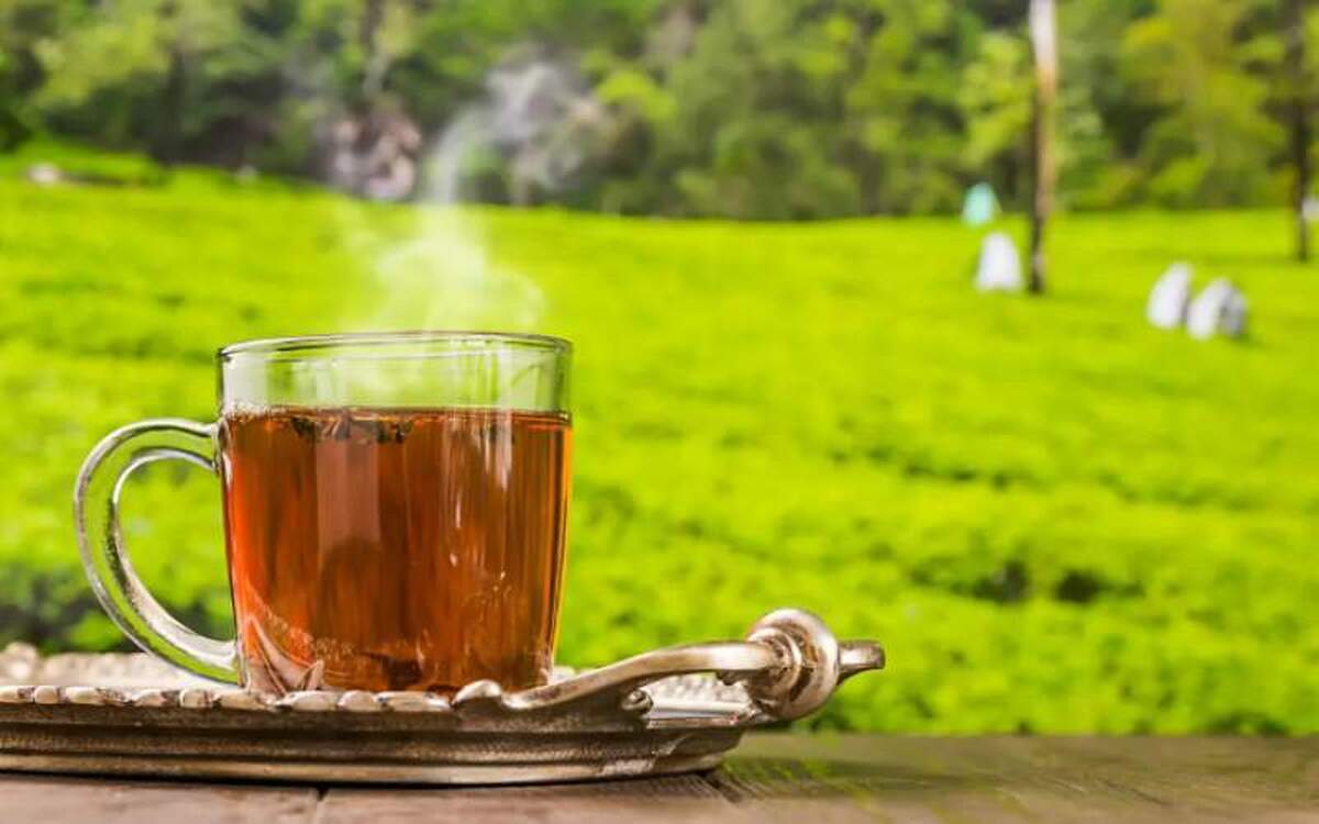 چرا چای بر جذب آهن تاثیر دارد؟