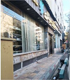 پیاده روی در تهران به خاطرات پیوست!