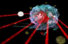 تأثیر امواج فراصوت بر رفتار و خلق و خو