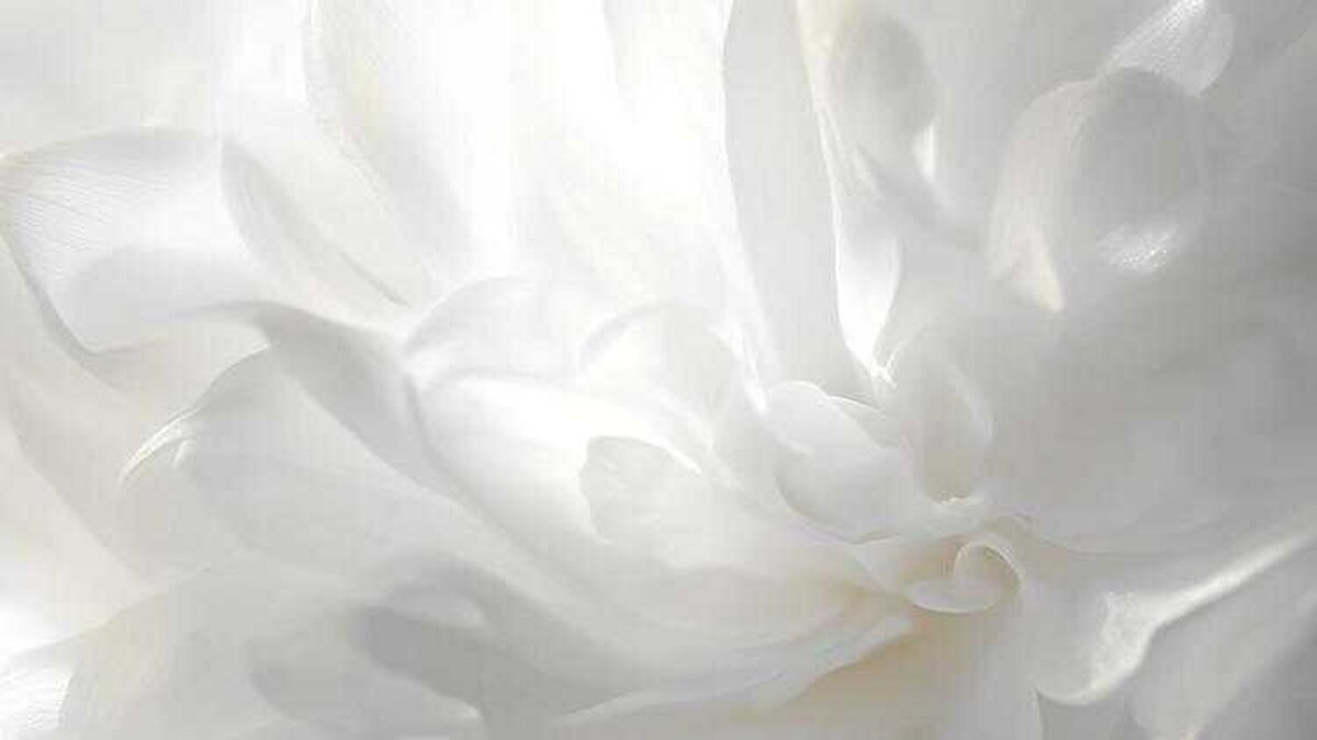 الگو برای به کارگیری رنگ ساده و لوکس سال ۲۰۲۶ در استایل