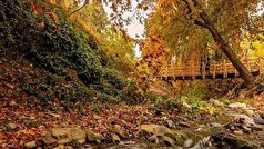 از چشمه‌های طبیعی تا برج پرندگان؛ جزئیات فاز دوم روددره فرحزاد