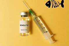 درمانی برای متوقف کردن پیری کشف شد!