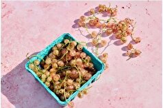 آیا می‌دانستید فیبر زیاد هم مانند کمبود فیبر برای بدن مضر است؟