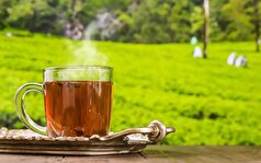 چرا چای بر جذب آهن تاثیر دارد؟