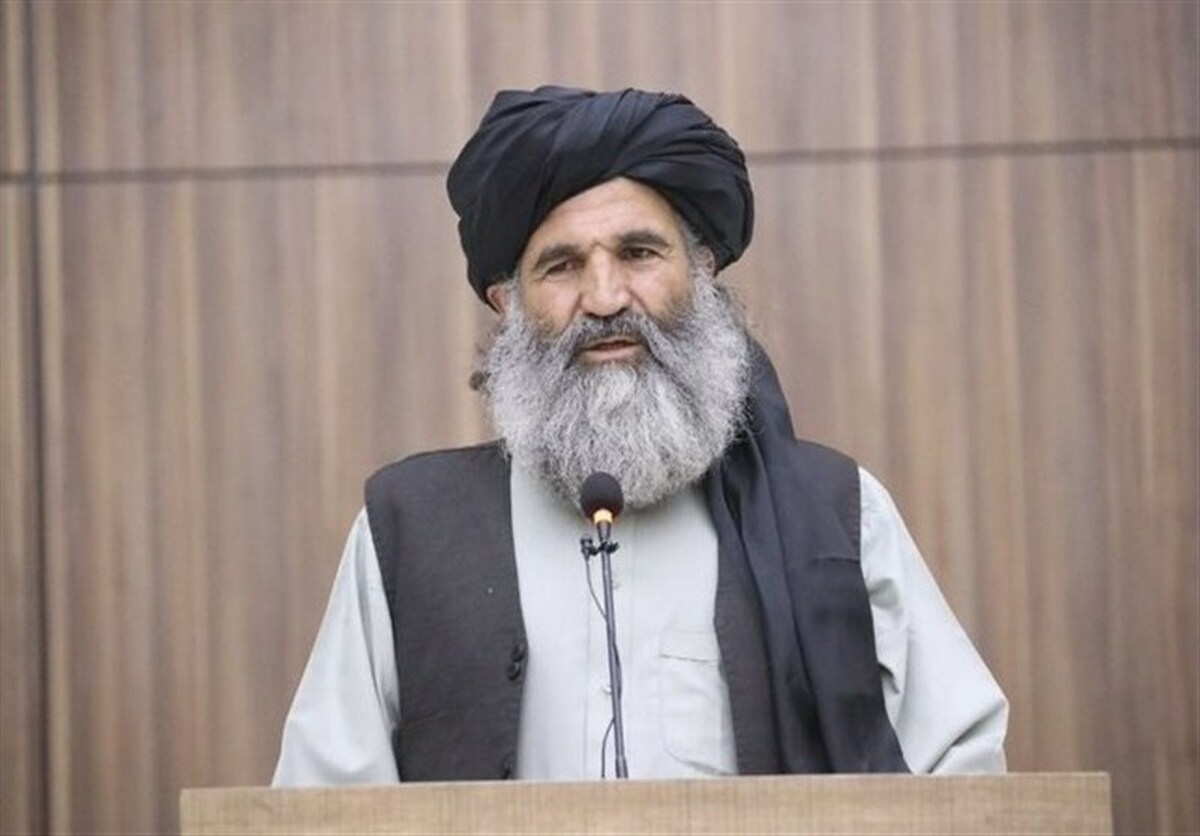 طالبان: کشور‌های منطقه برای کشت جایگزین خشخاش همکاری کنند