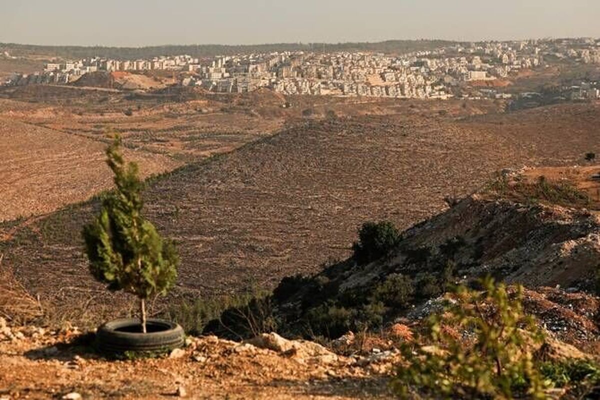 شروع ساخت یک شهرک غیرقانونی در رام الله