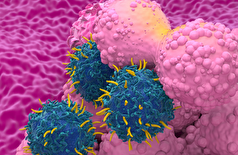 یک استراتژی نوآورانه علیه شایع‌ترین نوع سرطان سینه