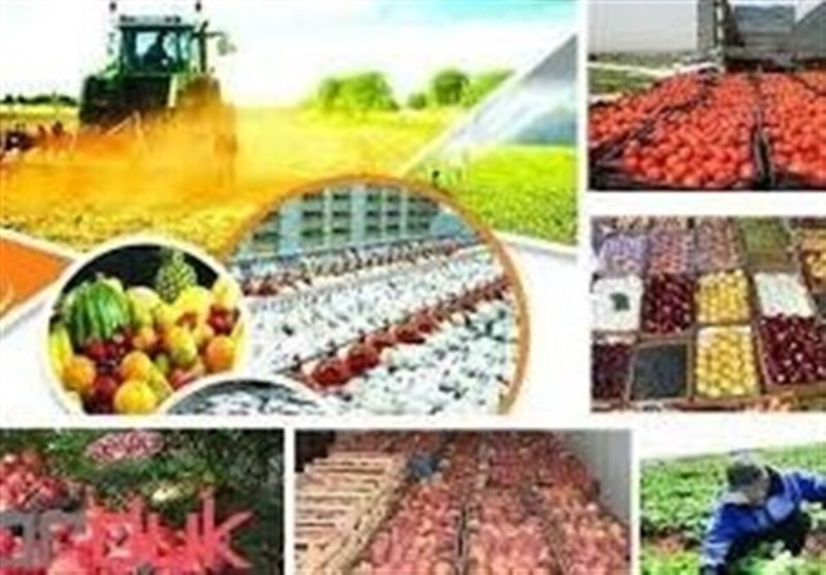 مازندران میزبان رویداد ملی «تا ثریا» شد‌