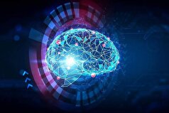 ساخت و آموزش مدل‌های هوش مصنوعی چگونه انجام میشود؟