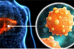 هپاتیت چگونه ایجاد میشود؟ هر آنچه که باید در مورد این بیماری بدانید!