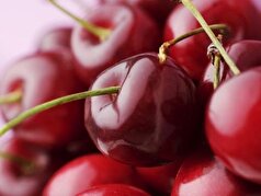 محققان دریافته‌اند که گیلاس می‌تواند باعث کاهش وزن و بهبود سلامت قلب شود.