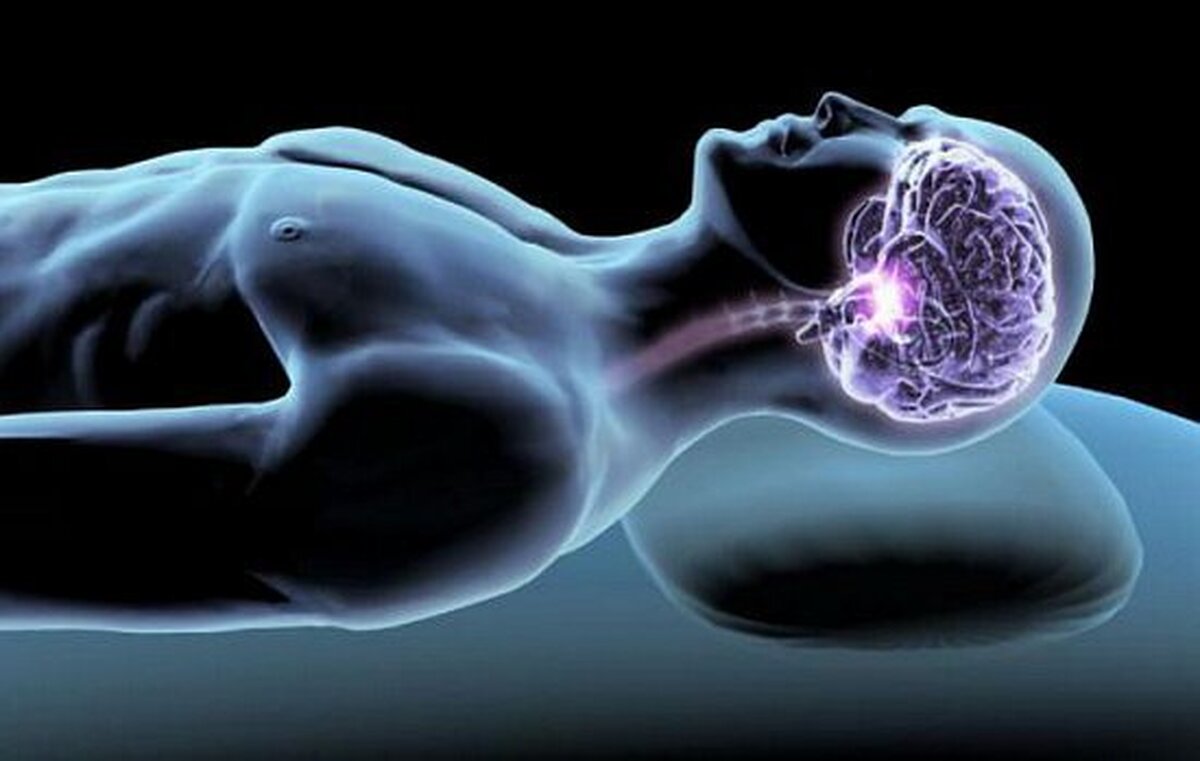 اگر نخوابید چه اتفاقی برای مغزتان می‌افتد؟