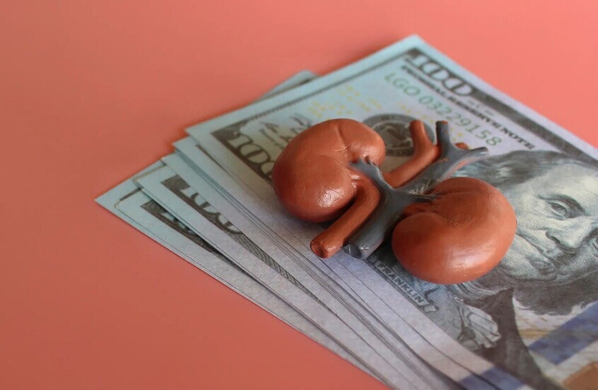 نیجریه: هتلی مرتبط با آدم‌ربایی و قاچاق اعضای بدن پلمپ شد