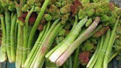 خواص بی نظیر «ریواس» در درمان مشکلات کبدی را دست کم نگیرید!