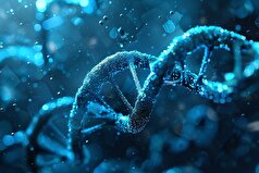 دانشمندان از آنچه مردم واقعاً در مورد مهربانی فکر می‌کنند، شگفت‌زده شدند.