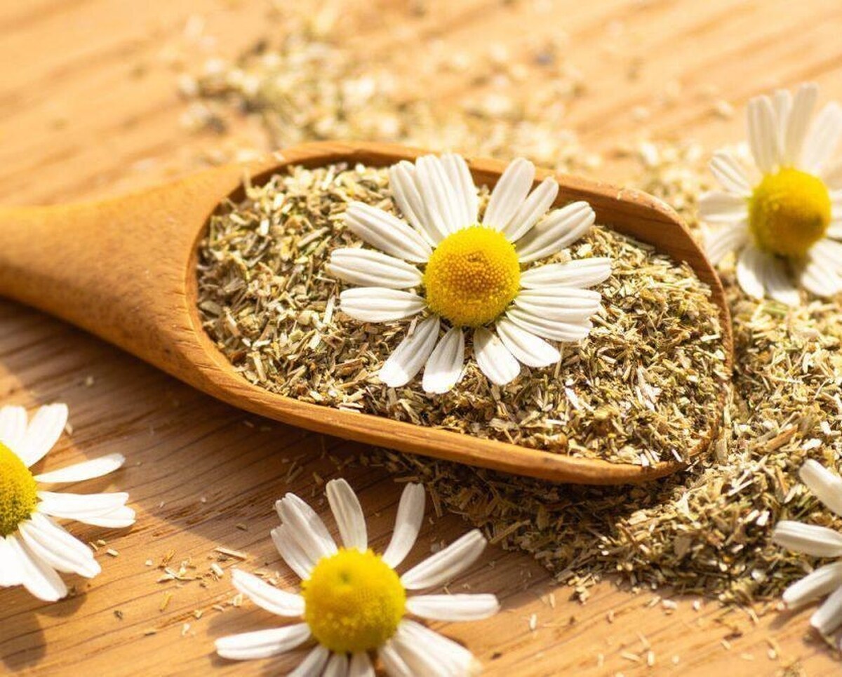 چگونه میتوان خواب آرامی را تجربه کرد؟