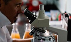 مطالعه: ویروس‌ها ممکن است به درمان عفونت کشنده استافیلوکوکوس اورئوس کمک کنند