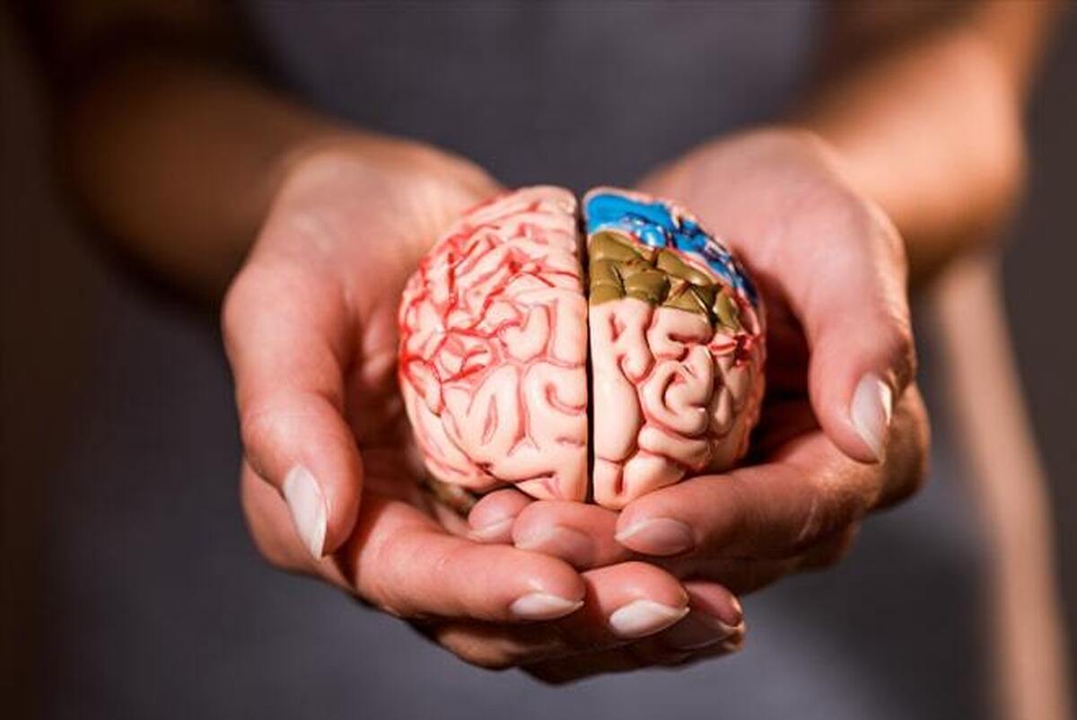سه یا چند ضربه مغزی با وخامت پیشرونده عملکرد مغز مرتبط است.