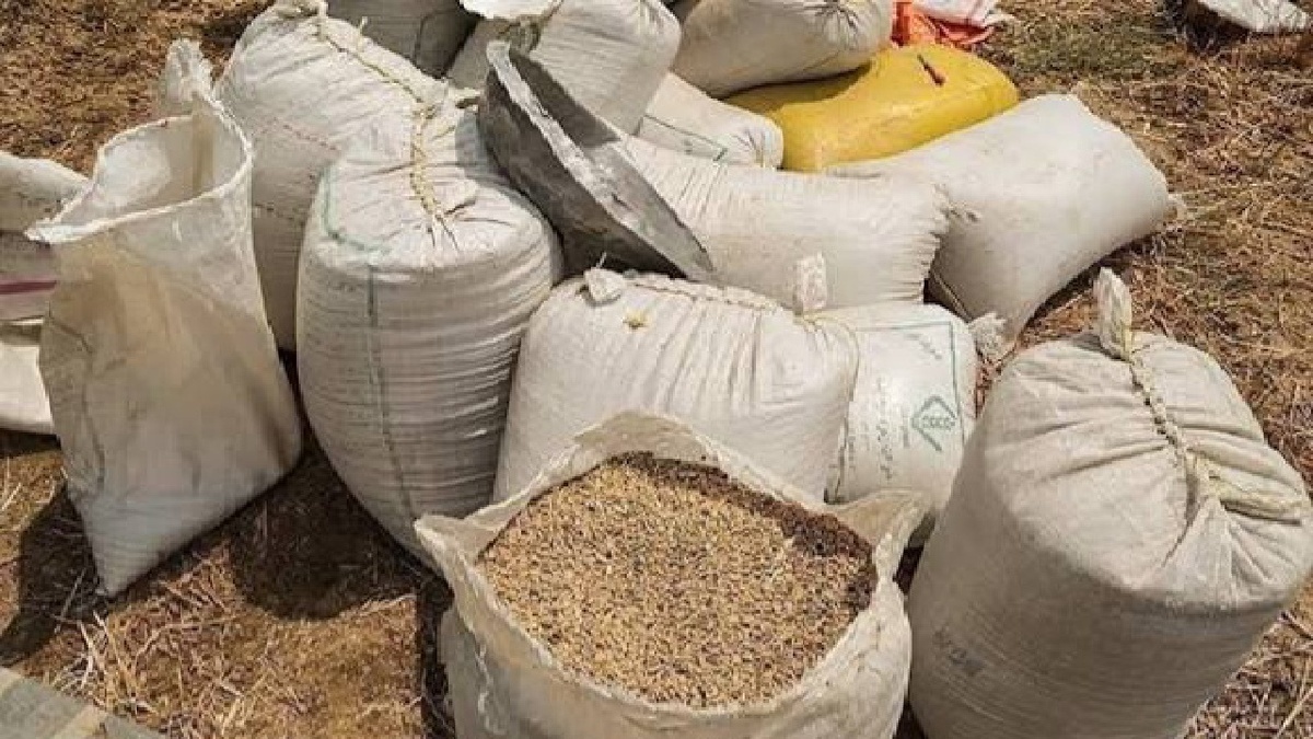 کشف بیش از ۲۸ تن گندم قاچاق در مراغه