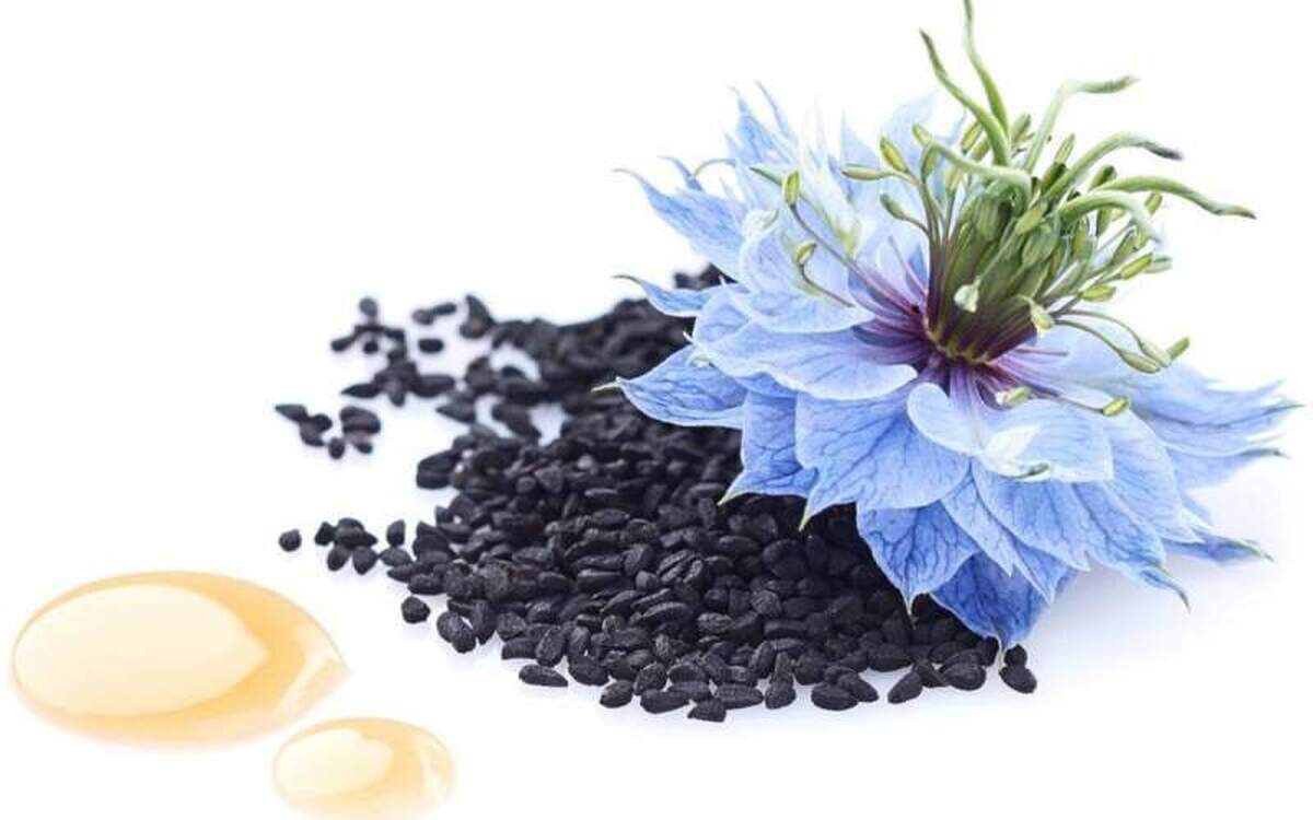 سیاه دانه میتواند سرماخوردگی را شکست دهد!