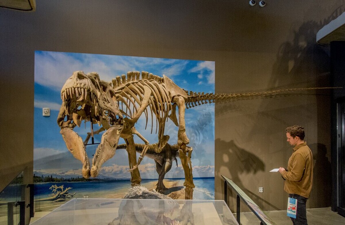 فرانسه قرار است اسکلت یک دایناسور دزدیده شده را به مغولستان بازگرداند