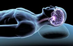 اگر نخوابید چه اتفاقی برای مغزتان می‌افتد؟