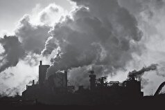 آلودگی هوا چه تاثیری بر سلامت بیماران سینوزیتی دارد؟