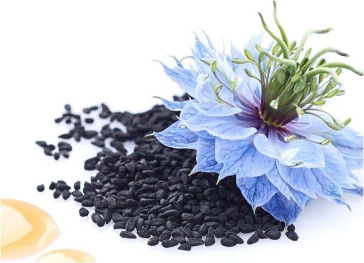 به کمک این دانه‌های سیاه و مفید به جنگ سرماخوردگی بروید!