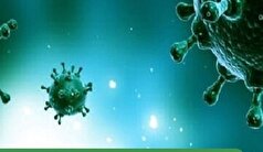 سرعت بی‌سابقه گردش آنفلوآنزا و آمار مبتلایان باعث نگرانی است!