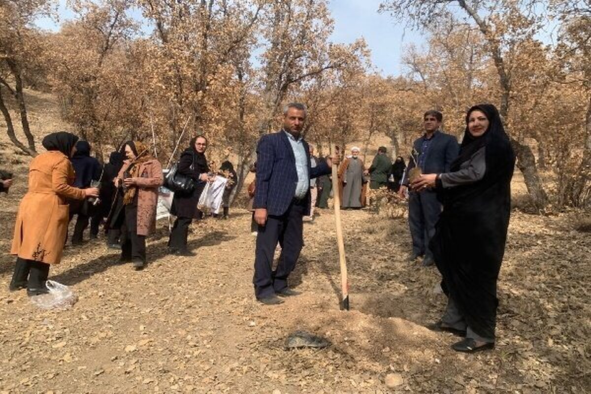 به مناسبت سالروز ولادت حضرت زهرا (س) پویش نهال کاری ایران بانو برگزار شد