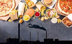 توصیه‌های تغذیه‌ای برای کاهش خطرات سلامتی آلودگی هوا