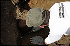 کشف سکه‌های رومی در فرانسه تعجب باستان شناسان را بر انگیخت