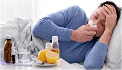 دمنوش‌های مناسب برای تقویت سیستم ایمنی در روز‌های سرد