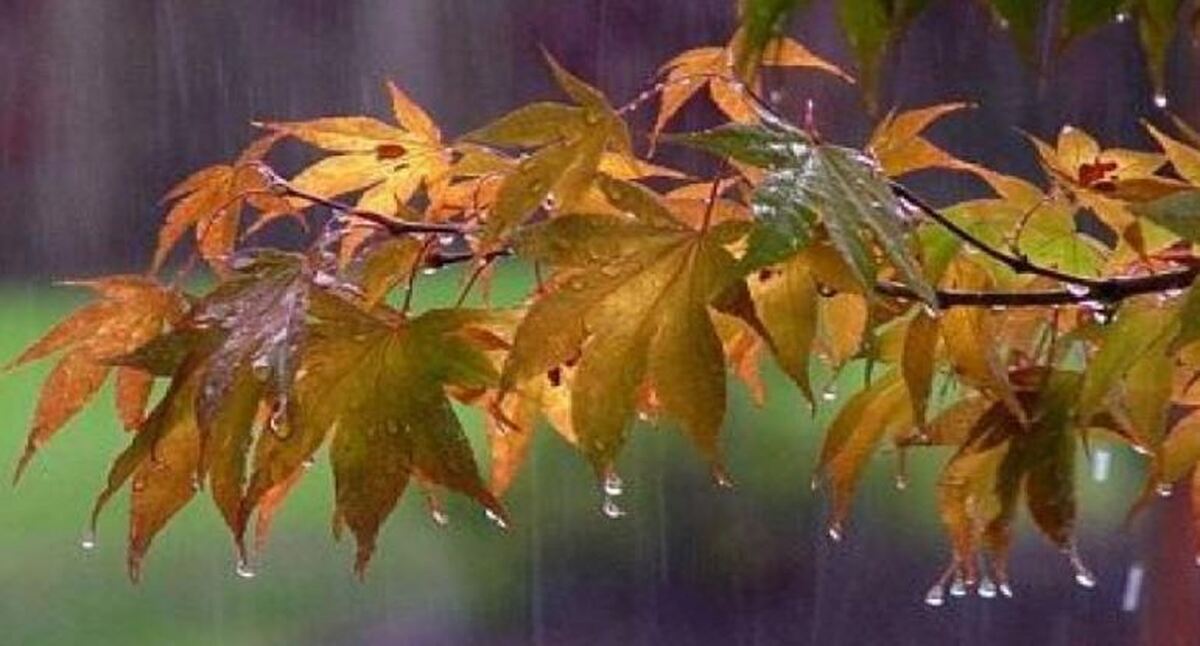 هشدار سطح نارنجی هواشناسی / بارش برف در ارتفاعات گیلان