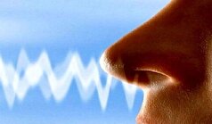 کاهش حس بویایی نشانه اولیه چه بیماری‌های خطرناکی است؟!