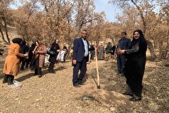 به مناسبت سالروز ولادت حضرت زهرا (س) پویش نهال کاری ایران بانو برگزار شد