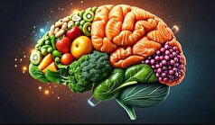 عادات غذایی که پیری مغز را کند می‌کنند، شناسایی شده‌اند.