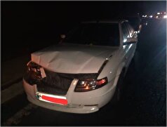 نشت گازوئیل در بزرگراه امام علی به حادثه زنجیره‌ای و ترافیک منجر شد