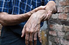 دانشمندان مکانیسمی را برای تقویت سلول‌های بنیادی عضلانی و مقابله با ضعف عضلانی شناسایی کردند