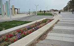 ۵۱ هزار میلیارد ریال به شهرداری‌ها و دهیاری‌های استان بوشهر تخصیص یافت