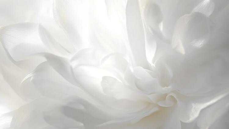 چگونه رنگ سال ۲۰۲۶ را در منزل با سایر لوازم ست کنیم؟