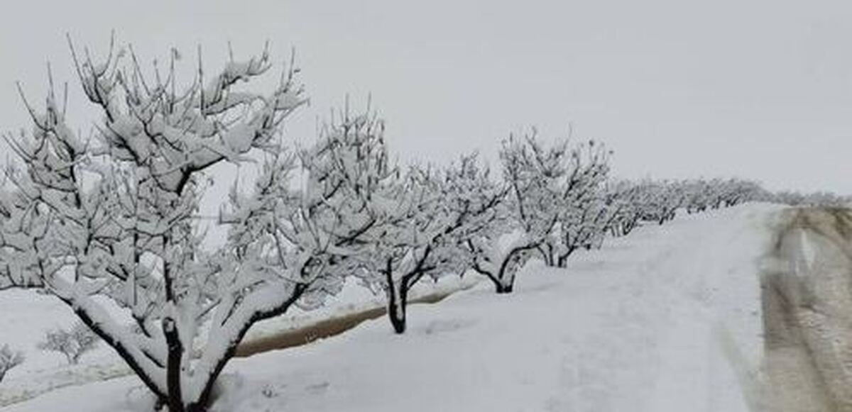 تشدید بارش‌ها در آذربایجان غربی