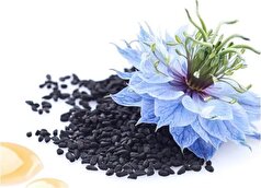 به کمک این دانه‌های سیاه و مفید به جنگ سرماخوردگی بروید!