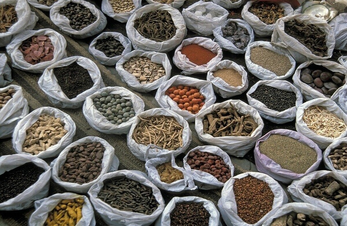 ادویه‌های خوشمزه‌ای که سیستم ایمنی بدن را در زمستان تقویت می‌کنند