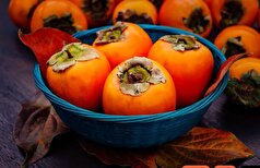 بررسی علل انسداد روده ناشی از مصرف خرمالو+درمان