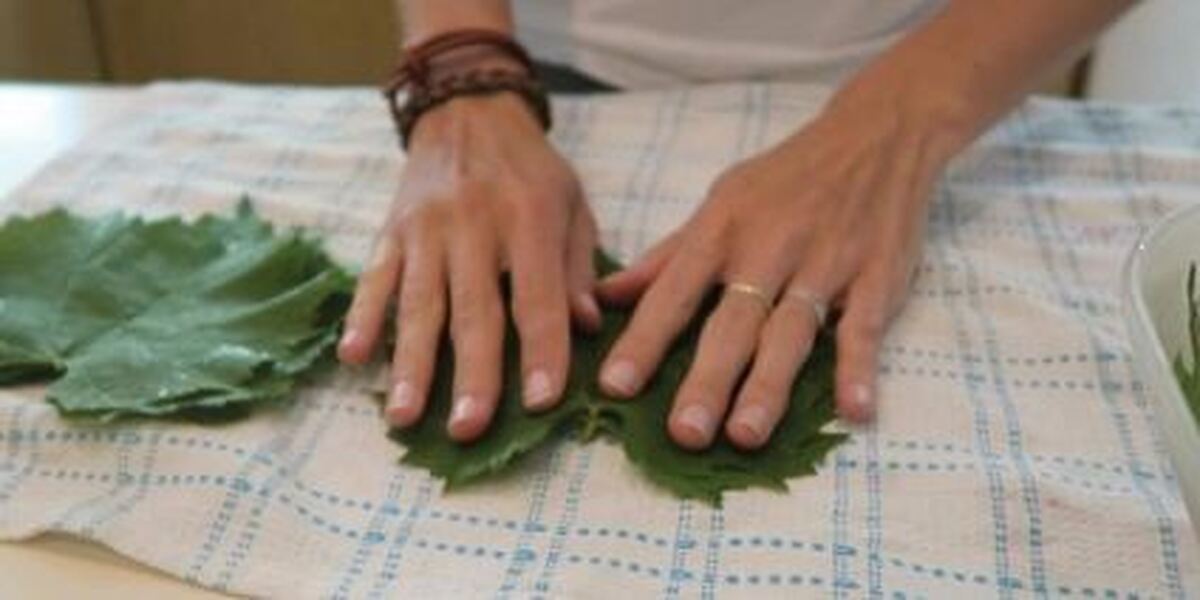 دستور تهیه سه سوته شور برگ مو برای فصل سرما