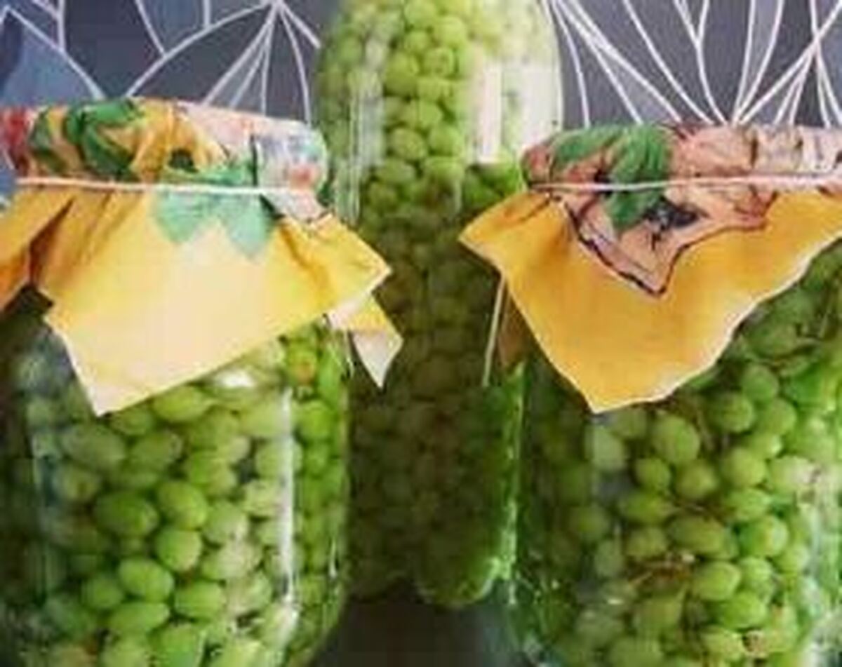 به سبک مادربزرگ‌ها ترشی غوره درست کنید